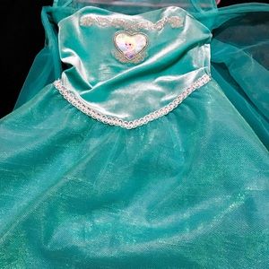 Frozen Anna Nightgown/Dress Up 3T